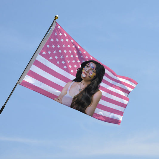 Olivia Rodrigo SOUR Tapestry Flag